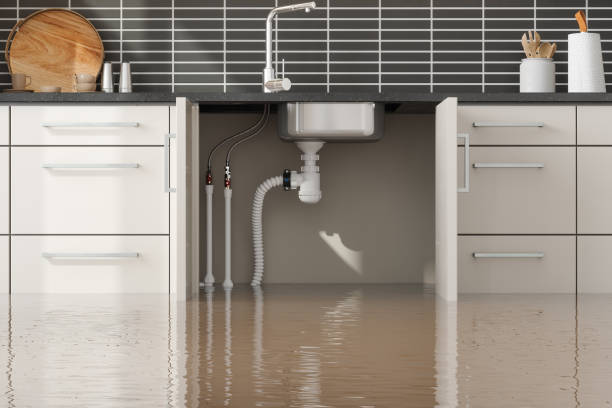 Best Flood damage cleanup  in Bellmead, TX